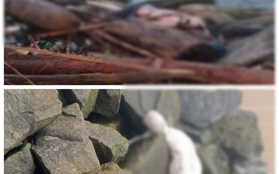 അഞ്ചുതെങ്ങ് മുതലപ്പൊഴിയില്‍ ഒരാഴ്ചയ്ക്കിടെ കരയ്ക്കടിഞ്ഞത് രണ്ട് അജ്ഞാത മൃതദേഹങ്ങൾ