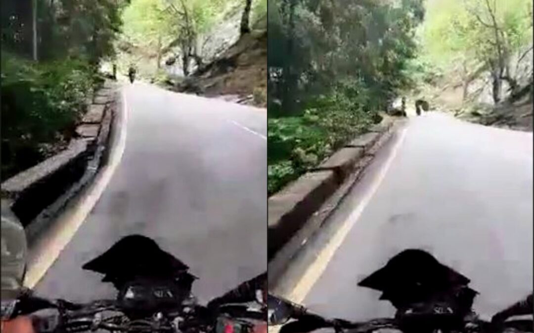 ചുരത്തിൽ പാറക്കല്ല് വീണ് ബൈക്ക് യാത്രികൻ മരിച്ചു