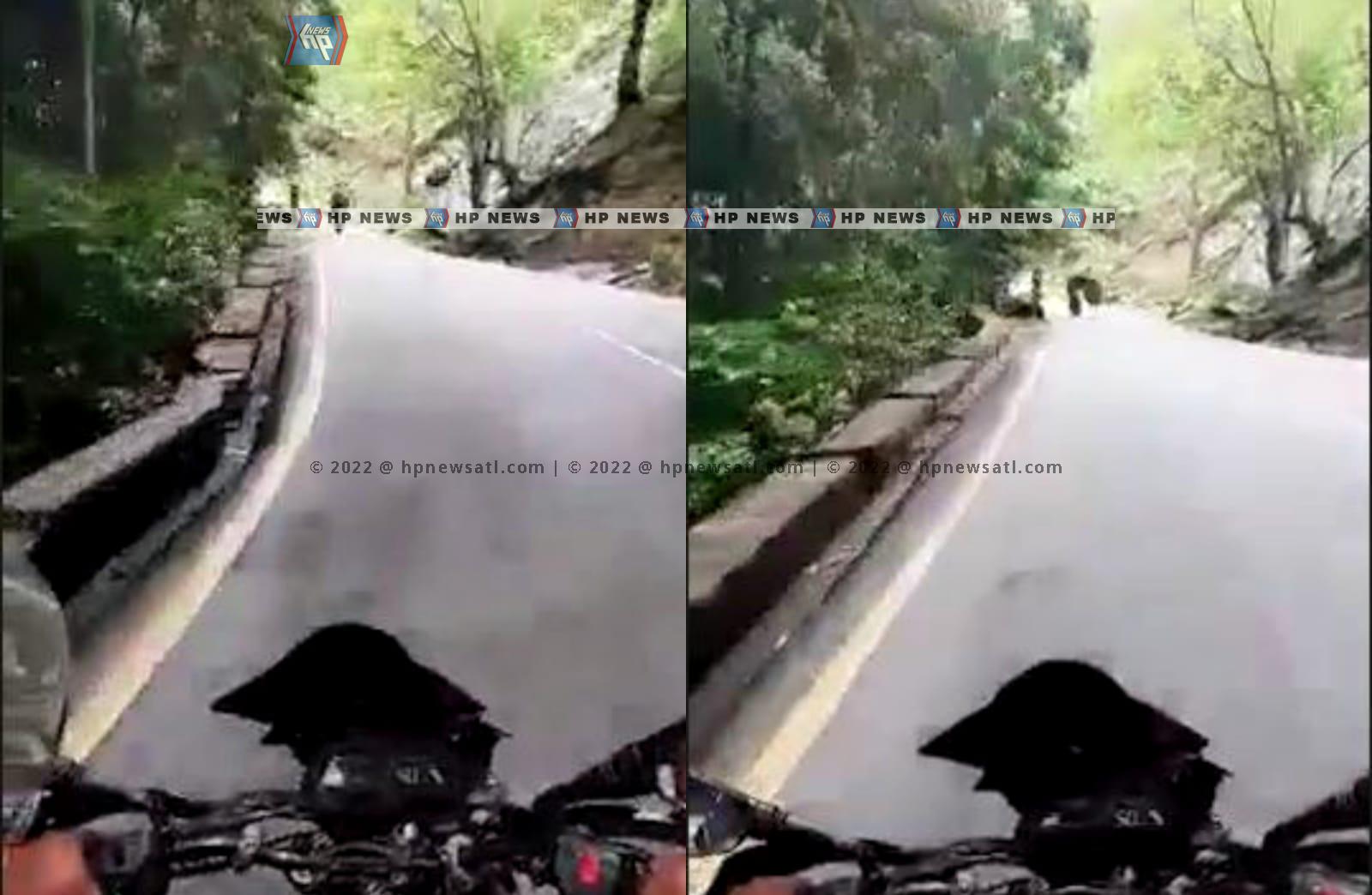 WhatsApp Image 2022-04-29 at 10.29.00 AM