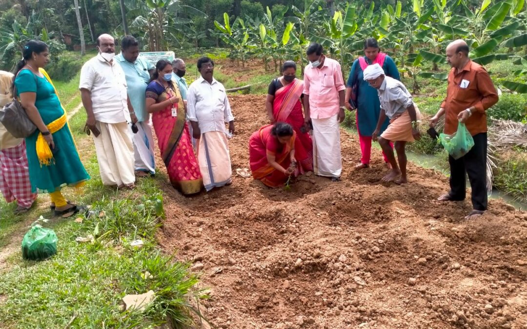 പഴയകുന്നുമ്മേൽ പറയുന്നു ‘ഞങ്ങളും കൃഷിയിലേക്ക്’