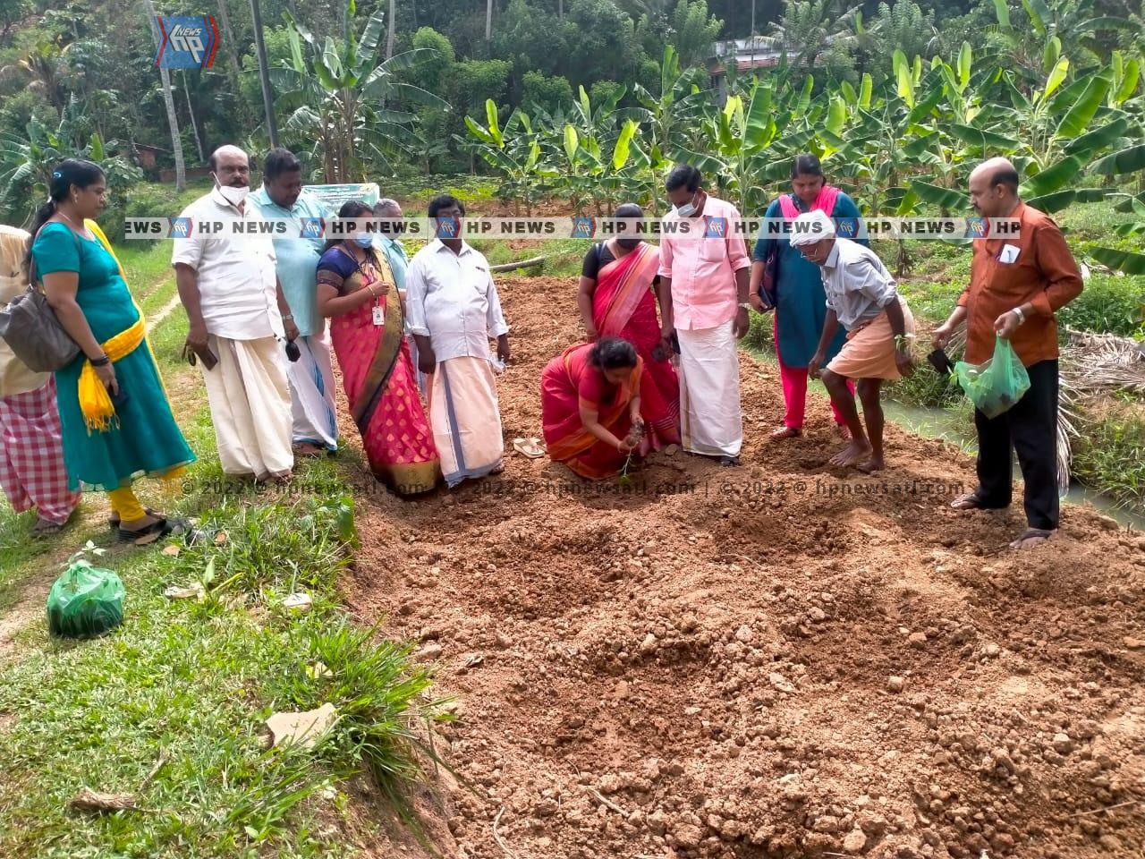 WhatsApp Image 2022-04-29 at 4.45.01 PM