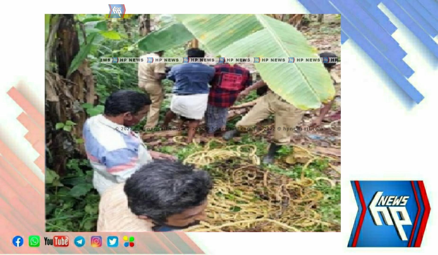 PicsArt_05-29-08.29.13