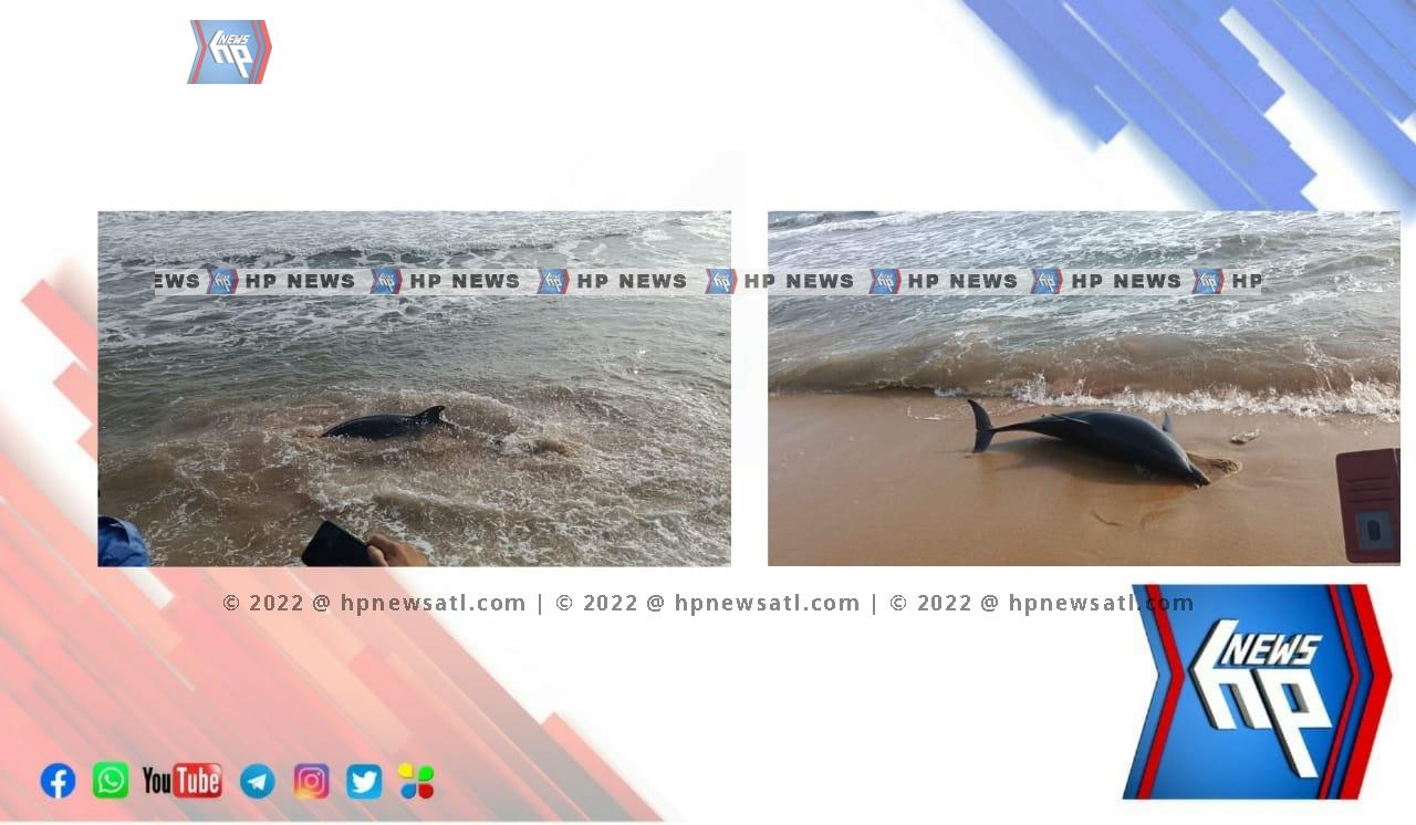 WhatsApp Image 2022-05-02 at 4.43.33 PM