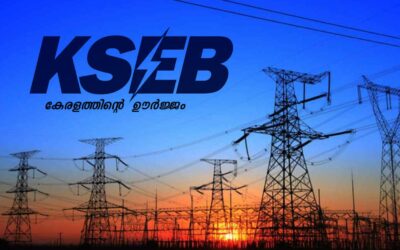 വീട്ടിലെ ഫ്യൂസ് ഊരിയതില് പക; 50 ട്രാന്സ്ഫോര്മറുകളിലെ ഫ്യൂസുകള് ഊരി യുവാവ്