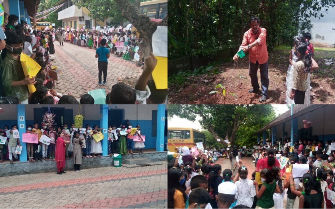 പരിസ്ഥിതി ദിനത്തിൽ മരങ്ങൾക്ക് കാവലായി എ.എം.എൽ.പി.എസ്സിലെ കുരുന്നുകൾ