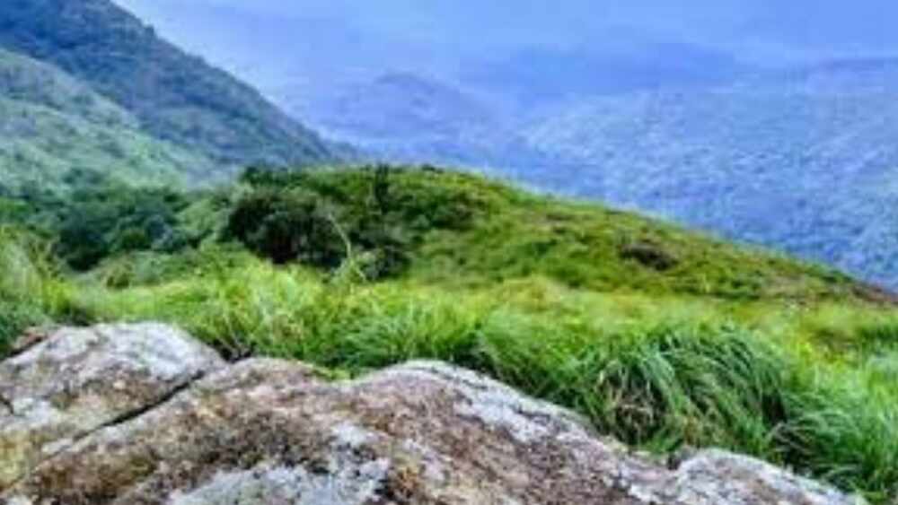പൊന്മുടി, കല്ലാർ,മങ്കയം, ഇക്കോ ടൂറിസം കേന്ദ്രങ്ങൾ നാളെ തുറക്കും
