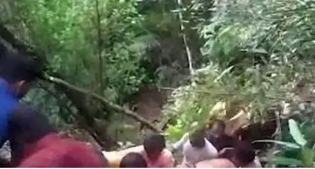 നിയന്ത്രണം ലംഘിച്ച് വനത്തിൽ കയറിയ അഞ്ചംഗസംഘത്തിൽ ഒരാൾ കൊക്കയിൽ വീണു മരിച്ചു