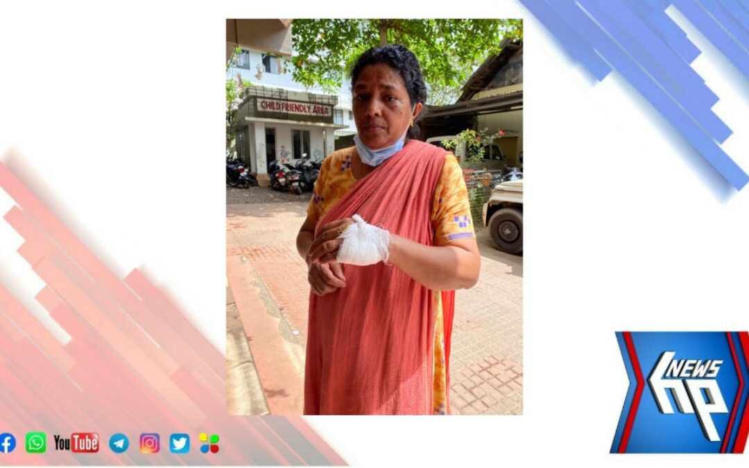 മതിൽ തർക്കം; വീട്ടമ്മയ്ക്ക് വെട്ടേറ്റു