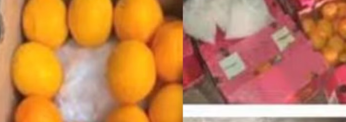 ഓറഞ്ച് ഇറക്കുമതിയുടെ മറവില്‍ വൻ ലഹരി കടത്ത് നടത്തിയ സംഭവത്തില്‍ മലയാളി അറസ്റ്റില്‍
