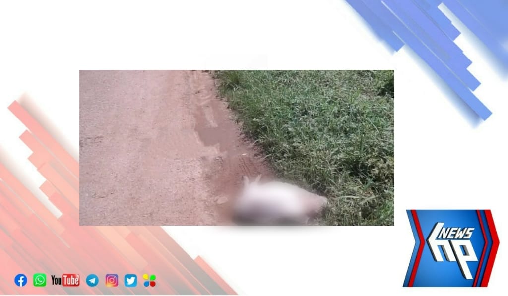ആലംകോട് മണ്ണൂര്‍ഭാഗത്ത് തലവെട്ടിമാറ്റിയ നിലയില്‍ ആടിന്റെ ജഡം കണ്ടെത്തി