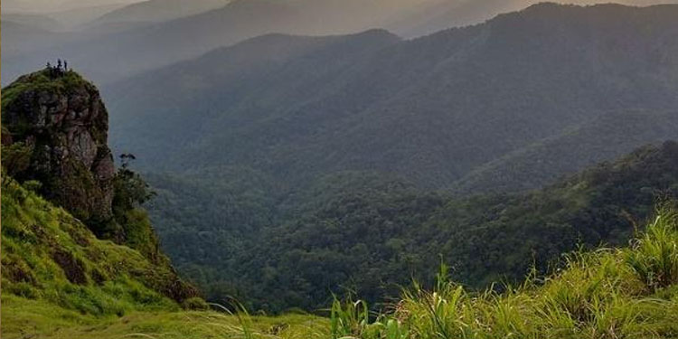 വാഗമണ്‍ സന്ദര്‍ശനത്തിന് ശേഷം മടങ്ങുന്നതിനിടെ കൊക്കയിലേക്ക് വീണ വിദ്യാര്‍ത്ഥി അത്ഭുതകരമായി രക്ഷപ്പെട്ടു