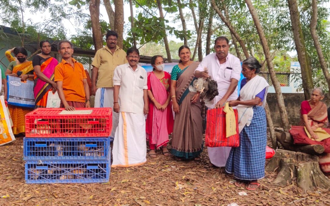 മുട്ടക്കോഴി വിതരണ പദ്ധതിയ്ക്ക് തുടക്കമിട്ടു