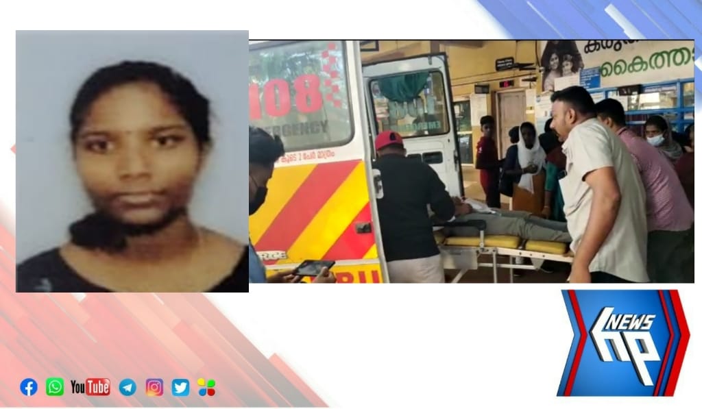 വിദ്യാർത്ഥിനി ട്രെയിനിൽ നിന്നും തെറിച്ചു വീണു