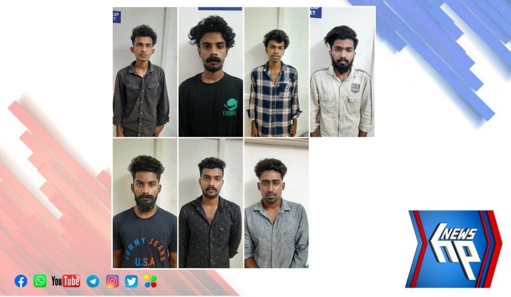 പ്രായപൂർത്തിയാകാത്ത പെൺകുട്ടിയെ പീഡിപ്പിച്ച കേസിൽ ഡി.വൈ.എഫ്.ഐ. നേതാവടക്കം എട്ടുപേർ കസ്റ്റഡിയിൽ
