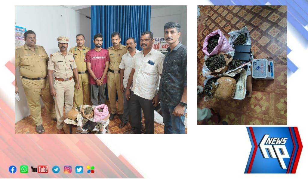 ആറ്റിങ്ങൽ എക്സൈസിന്റെ നേതൃത്വത്തിൽ 5.250 kg കഞ്ചാവ് പിടിച്ചെടുത്തു