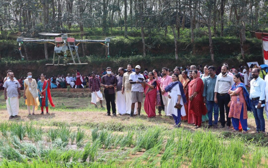 വെള്ളല്ലൂരില്‍ പാടത്ത് ഡ്രോണ്‍ ഉപയോ​ഗിച്ച് വളപ്രയോ​ഗം നടത്തി