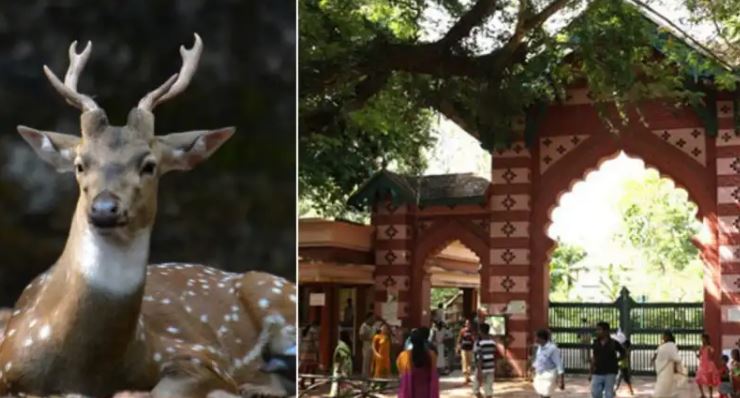 തിരുവനന്തപുരം മൃഗശാലയിൽ ക്ഷയരോ​ഗം: മനുഷ്യരിലേക്ക് പടരാതിരിക്കാൻ മുൻകരുതൽ