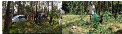 ചിതറയിൽ ഭീകരാന്തരീക്ഷം സൃഷ്ടിച്ച പ്രതി വീട്ടിൽ; കാവലിന് നായ