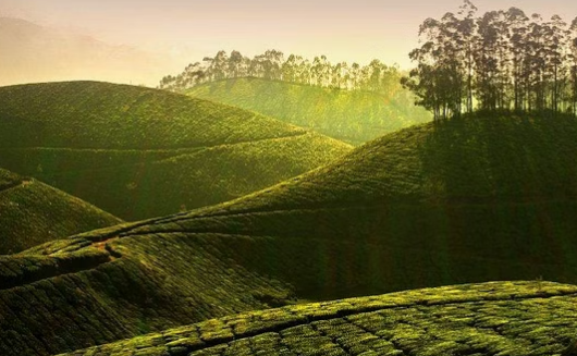 ന്യൂയോർക്ക് ടൈംസിന്റെ പട്ടികയിൽ 13ാം സ്ഥാനത്ത് കേരളം