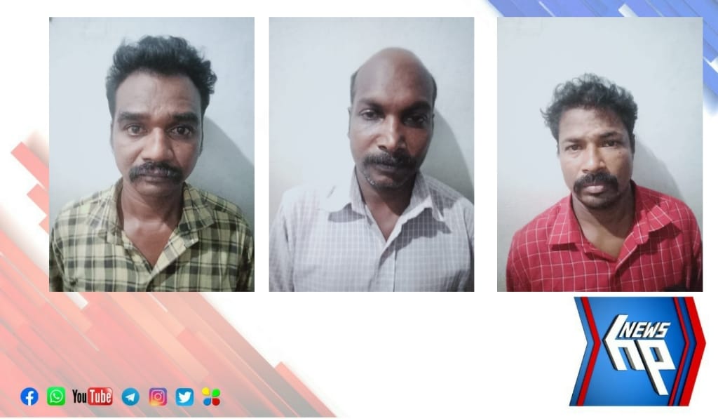 പുതുവത്സര ആഘോഷത്തിനിടെ യുവാക്കളെ കുത്തി പരിക്കേൽപ്പിച്ച  പ്രതികൾ അറസ്റ്റിൽ