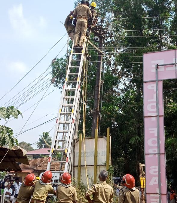 ഇലക്ട്രിക് പോസ്റ്റിൽ കുടുങ്ങിയ ജീവനക്കാരന്  ഫയർ ഫോഴ്‌സിന്റെ കൈത്താങ്ങ്