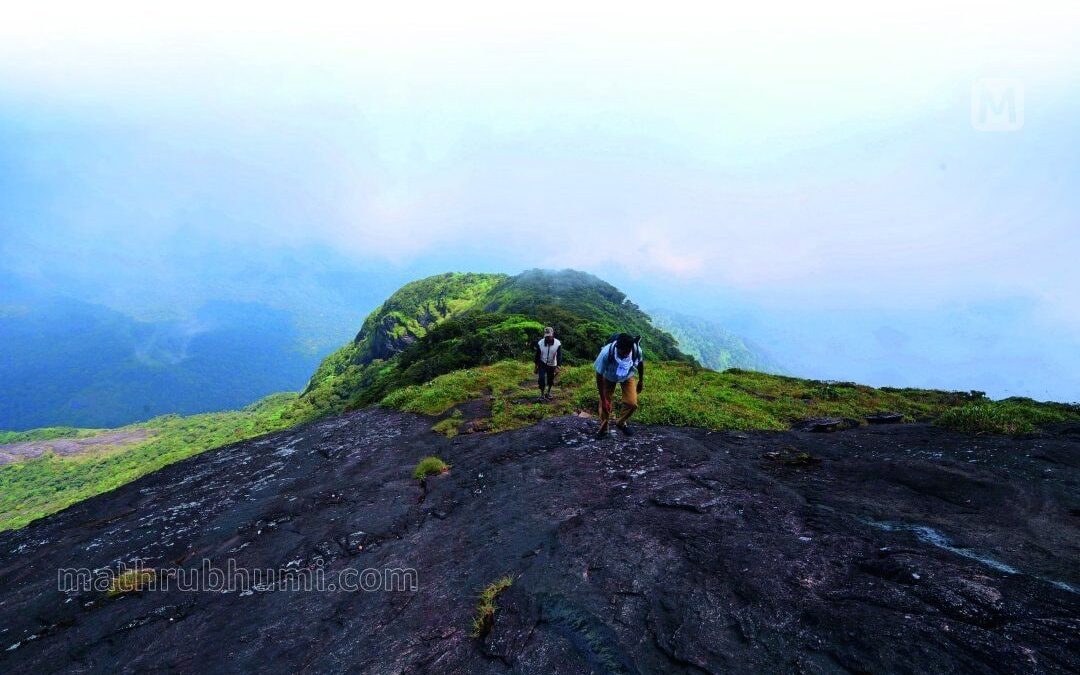 അഗസ്ത്യാര്‍കൂടം ട്രക്കിങ്; ഓണ്‍ലൈന്‍ ബുക്കിങ് ഇന്നുമുതല്‍