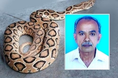 അഞ്ചുതെങ്ങ് സ്വദേശി പാമ്പ്കടിയേറ്റ് മരിച്ചു
