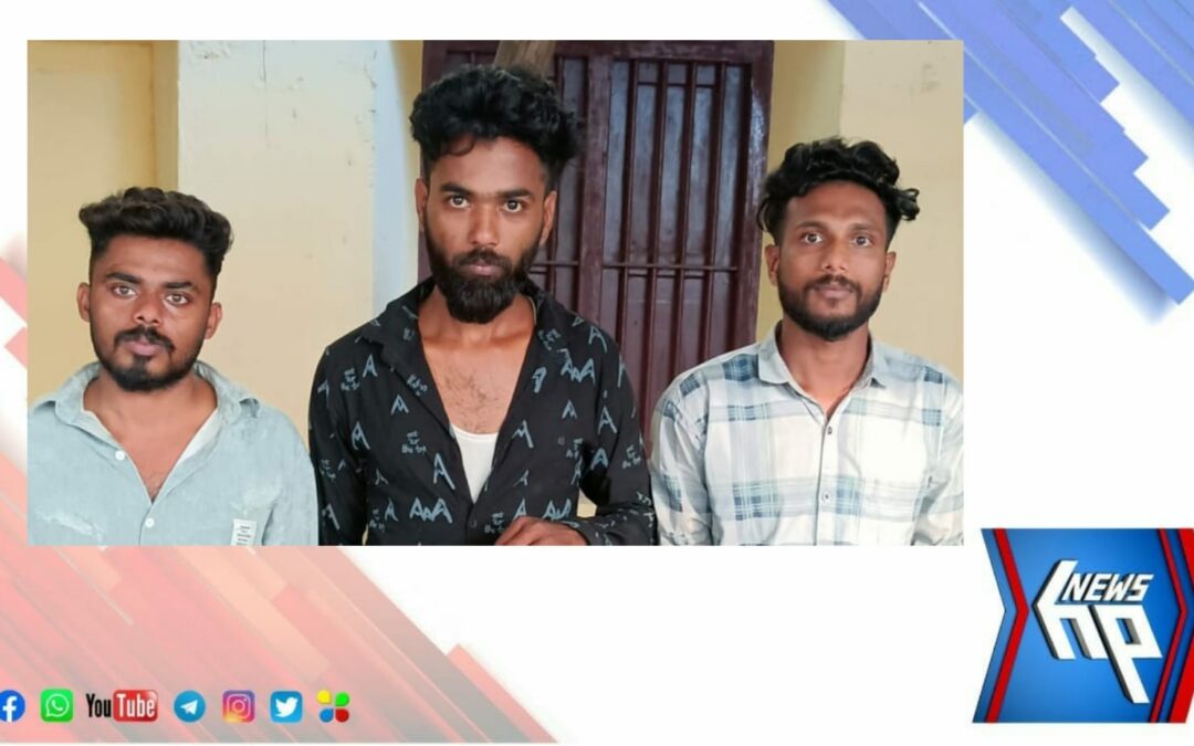 യുവാക്കളെ ആക്രമിച്ചു സ്വർണമാലയും മൊബൈൽ ഫോണുകളും പിടിച്ചു പറിച്ച കേസിൽ 3പേർ അറസ്റ്റിൽ