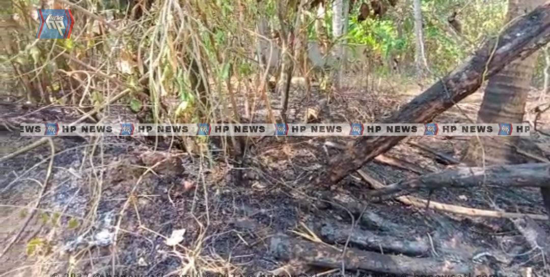 പുരയിടത്തിന് തീയിട്ട ഉടമസ്ഥൻ പൊള്ളലേറ്റ നിലയിൽ