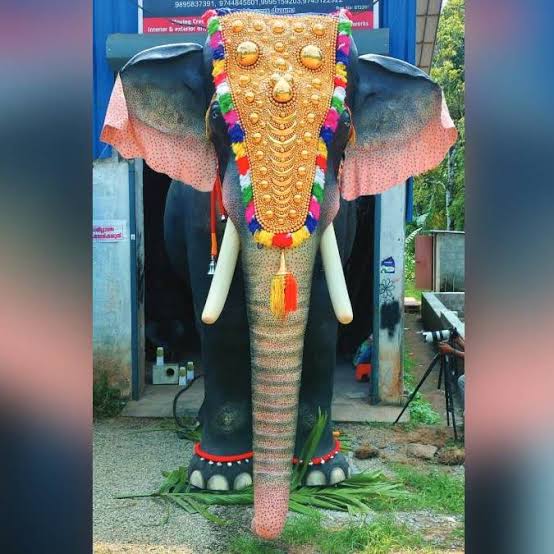 കേരളത്തിൽ ആദ്യമായി റോബോട്ട് ആന തിടമ്പേറ്റി