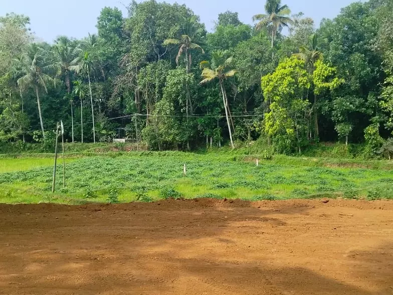 ഭൂമിയുടെ ന്യായവില: ഏപ്രിൽ ഒന്ന് മുതൽ 20 ശതമാനം ഉയർത്തി വിജ്ഞാപനമിറക്കി