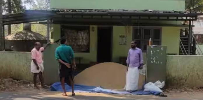 കൊയ്തെടുത്ത നെല്ല് കൃഷിഭവന് മുന്നിൽ ഉപേക്ഷിച്ച് കർഷകന്റെ പ്രതിഷേധം