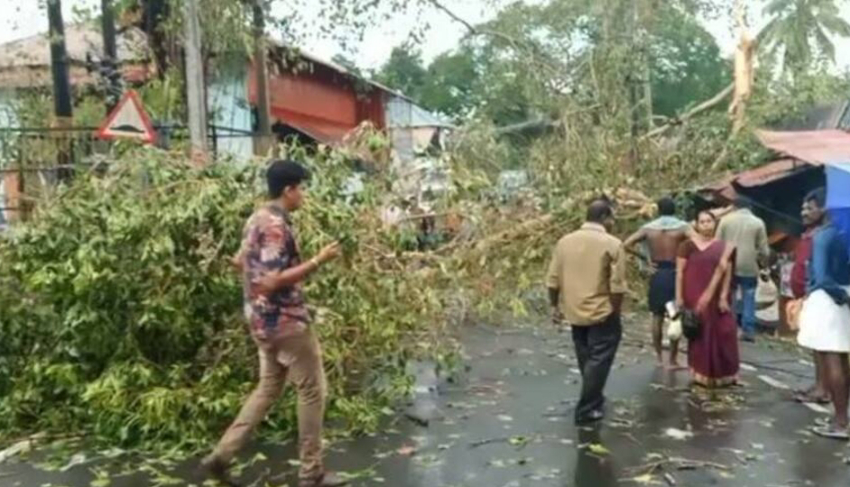 അടൂരിൽ ശക്തമായ കാറ്റും മഴയും; സ്കൂട്ടറിന് മുകളിൽ മരം ഒടിഞ്ഞു വീണ് ഒരു മരണം