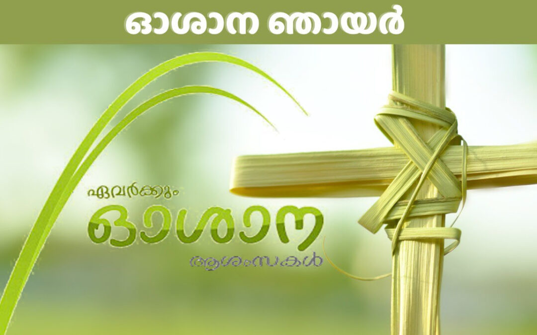 ഇന്ന് ഓശാന ഞായര്‍; പള്ളികളില്‍ പ്രത്യേക പ്രാര്‍ത്ഥനകളും കുരുത്തോല പ്രദക്ഷിണവും