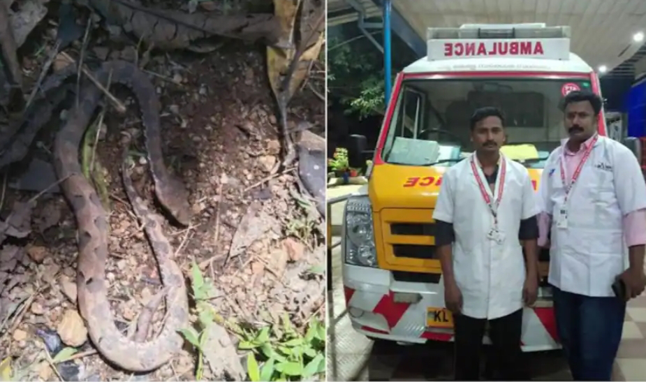 പാമ്പ് കടിയേറ്റ വിദ്യാര്‍ഥിയെ 50 മിനിറ്റില്‍ തിരുവനന്തപുരത്ത് എത്തിച്ചു; സഹായമായത് ഗ്രീന്‍ കോറിഡോര്‍