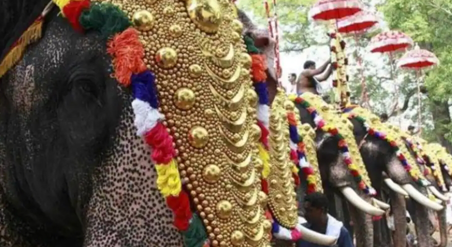 ഉത്സവങ്ങളിൽ ആനയെ എഴുന്നള്ളിക്കൽ; നിയന്ത്രണങ്ങൾ വേണമെന്ന് ഹൈക്കോടതി