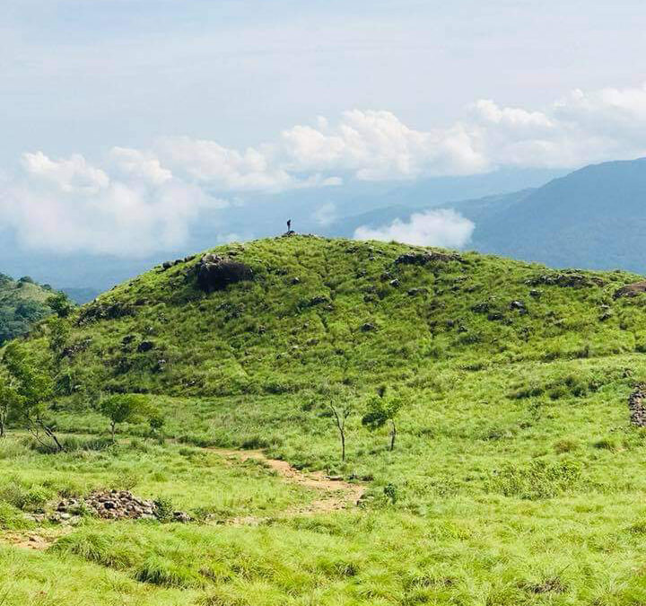പൊന്മുടിയിലേയ്ക്ക് വലിയ വാഹനങ്ങള്‍ക്ക് നിരോധനം; ഗോള്‍ഡന്‍ വാലി കഴിഞ്ഞ് പ്രവേശനമില്ല