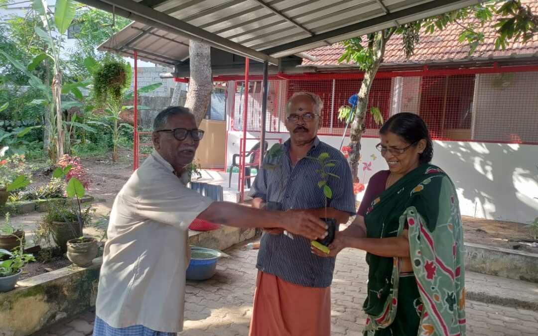 സിപിഐഎം അമ്പലമുക്ക് ബ്രാഞ്ച് കമ്മറ്റിയുടെ നേതൃത്വത്തിൽ ഔഷധ ചെടികൾ വിതരണം ചെയ്തു