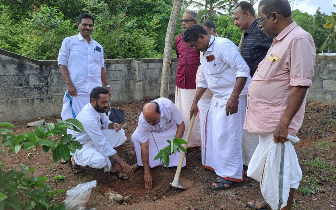 കർഷക കോൺഗ്രസ്  ആറ്റിങ്ങൽ നിയോജക മണ്ഡലം കമ്മിറ്റിയുടെ നേതൃത്വത്തിൽ പരിസ്ഥിതി ദിനാചാരണം നടത്തി
