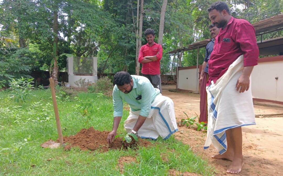 ആവണിഞ്ചേരി മാമ്പഴക്കോണം ദേവിക്ഷേത്രത്തിൽ ഡി വൈ എഫ് ഐ യുടെ ആഭിമുഖ്യത്തിൽ തൈ നടീൽ സംഘടിപ്പിച്ചു