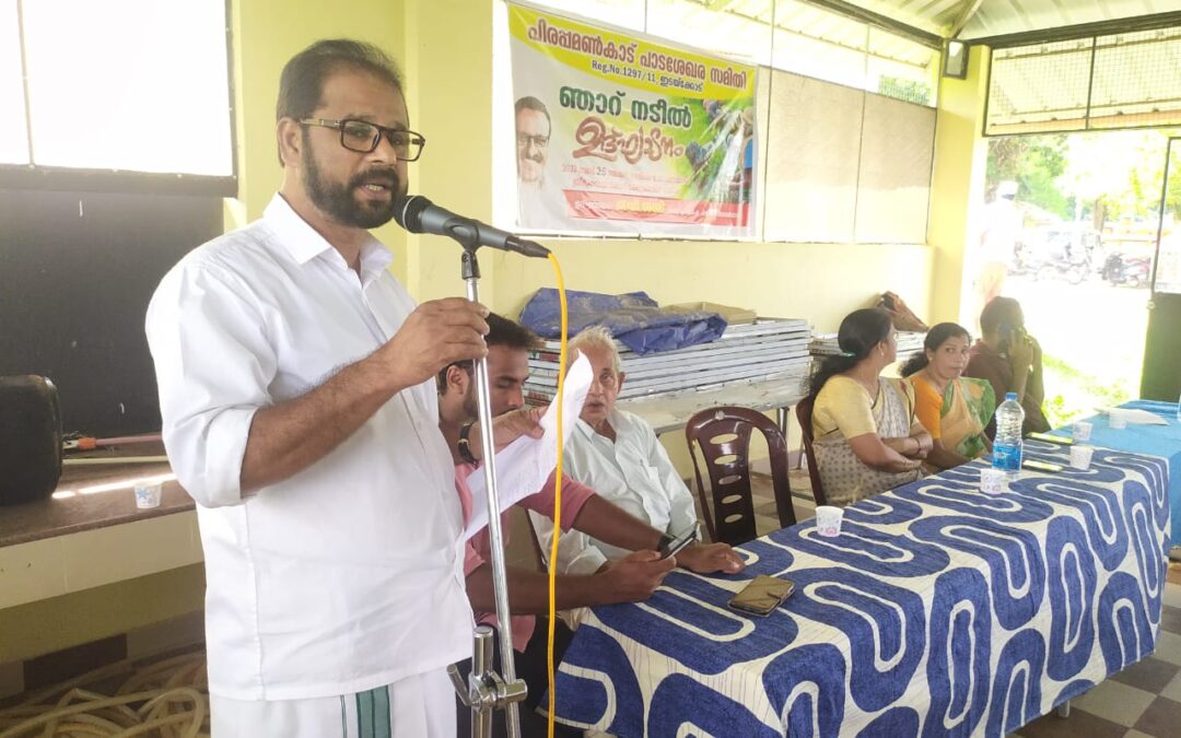 പാട ശേഖരണ സമിതിയുടെ നേതൃത്വത്തിൽ ഞാറ് നടീൽ ഉത്‌സവം സംഘടിപ്പിച്ചു