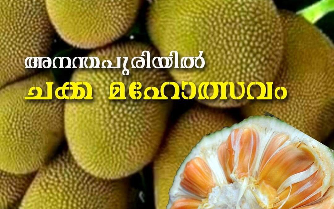 അനന്തപുരിയിൽ ചക്ക മഹോത്സവം: നൂറ് കണക്കിന് ചക്ക ഇനങ്ങളും ചക്ക വിഭവങ്ങളുമാണ് മേളയിൽ ഒരുക്കിയിരിക്കുന്നത്