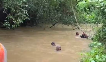 വയനാട്ടില്‍ പുല്ലരിയാന്‍ പോയ ആളെ കാണാതായി; പുഴയിലേക്ക് വലിച്ചിഴച്ച പാടുകള്‍