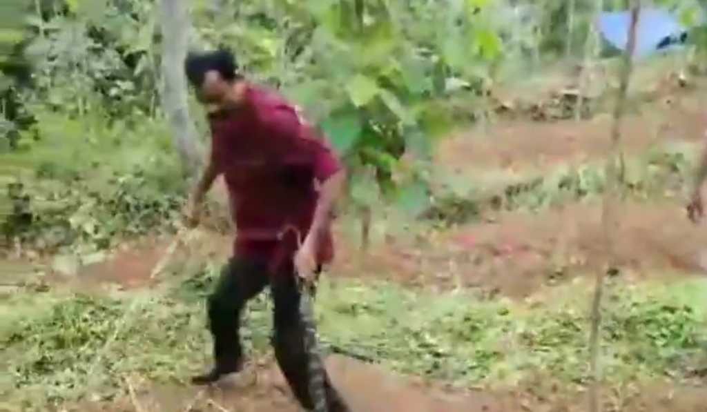 വെഞ്ഞാറമൂട്ടിൽ നിന്നും കൂറ്റൻ പെരുമ്പാമ്പിനെ പിടികൂടി