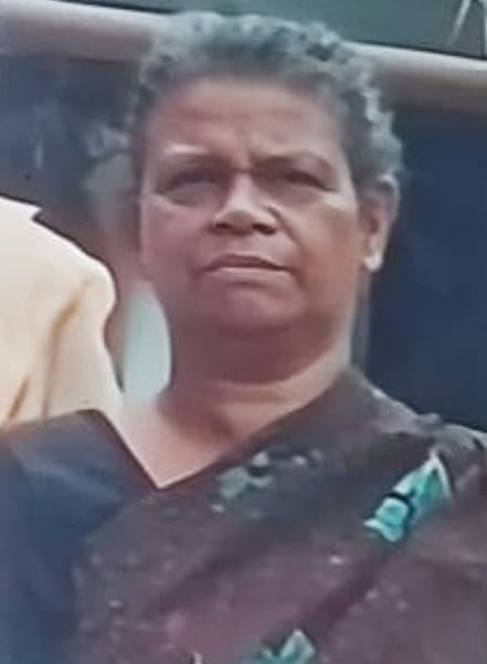 കിളിമാനൂരിൽ പനിബാധിച്ച് വയോധിക മരിച്ചു