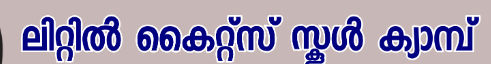ഹൈസ്കൂൾ ക്ലാസിലെ കുട്ടികൾക്കായുള്ള സ്കൂൾ തല ക്യാമ്പ് സംഘടിപ്പിയ്ക്കുന്നു