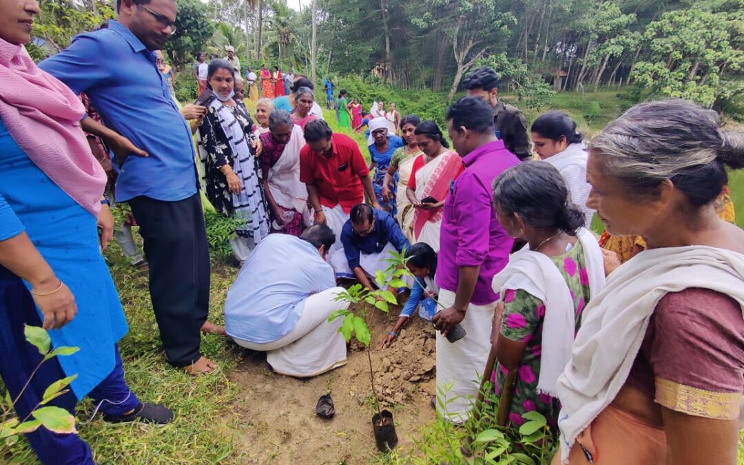 അമൃത സരോവർ പദ്ധതിയും ജല തിരംഗയാത്രയും വൃക്ഷ തൈ നടീലും സംഘടിപ്പിച്ചു