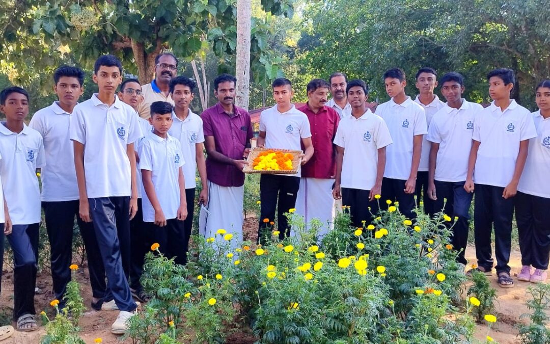 എസ് പി സി കേഡറ്റുകളുടെ നേതൃത്വത്തിൽ നടത്തിയ ജമന്തിപ്പൂ കൃഷിയുടെ വിളവെടുപ്പ്