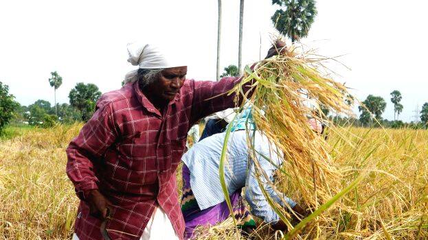 ഇന്ന് ചിങ്ങം 1: മലയാള നാടിന് ഇന്ന് പുതുവര്‍ഷപ്പിറവി