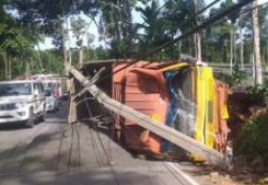 ഗിയര്‍ മാറ്റാന്‍ ശ്രമിക്കുന്നതിനിടെ ലിവറിന് സമീപം പാമ്പ്; നിയന്ത്രണം വിട്ട ലോറി ഭിത്തിയില്‍ ഇടിച്ചുമറിഞ്ഞു